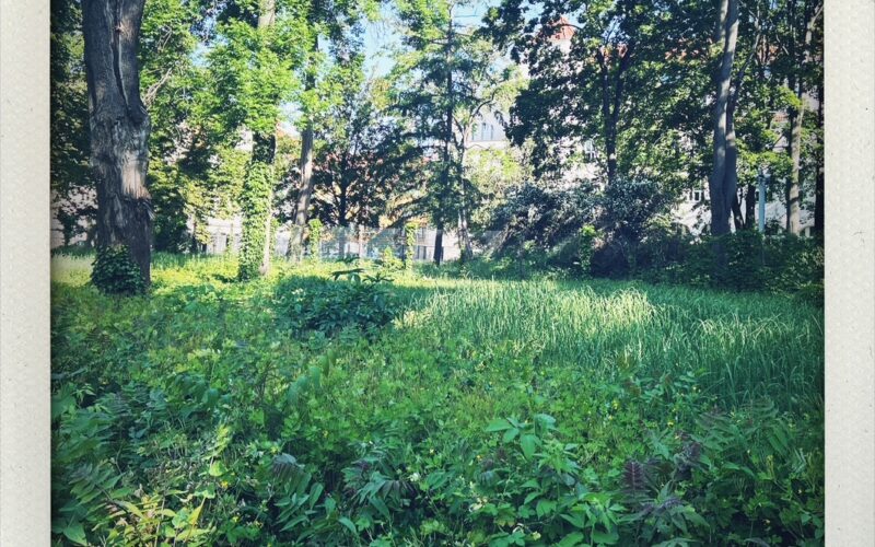 Bild von Regula Staempfli Berlin 2026 Alter jüdischer Friedhof. Die Podcastin, Isabel Rohner und Regula Staempfli im sprechenden Denken.